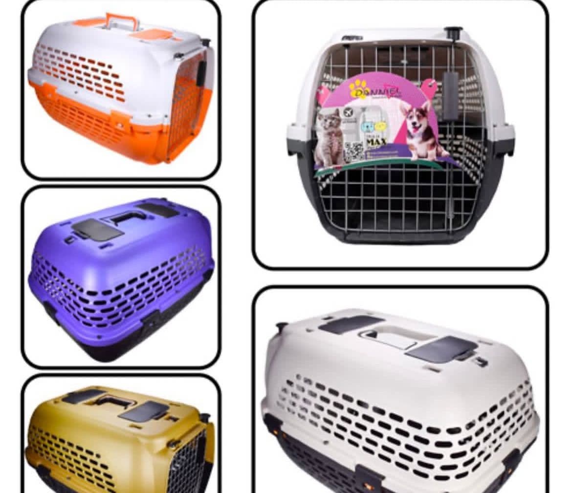 پت شاپ کاکادو در کرمانشاه