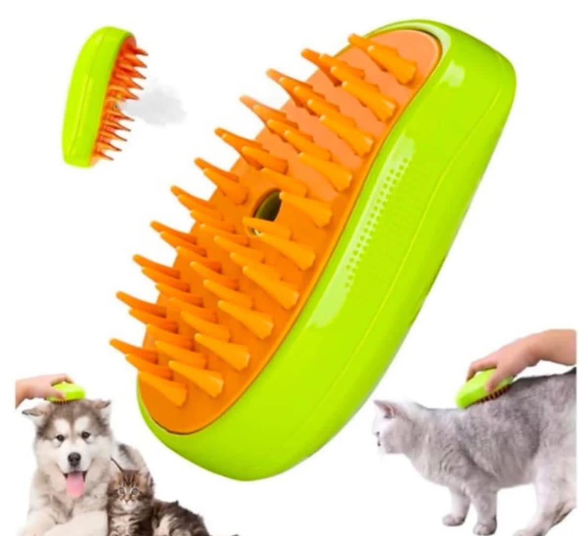 پت شاپ کاکادو در کرمانشاه