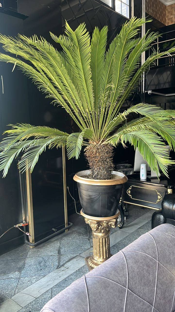 دپارتمان املاک آشیانه در تبریز