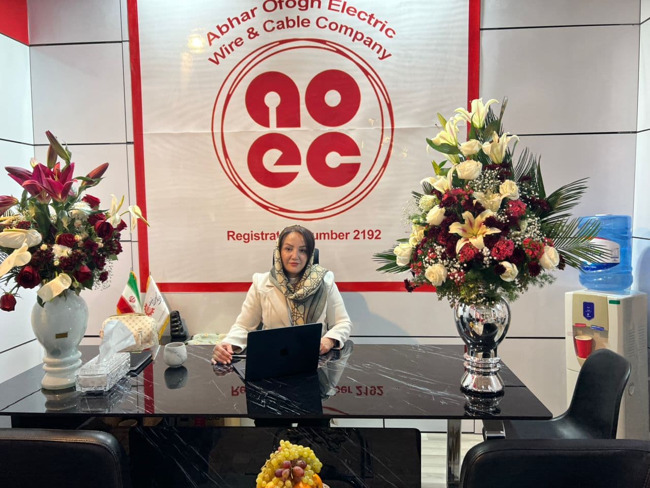 سیم و کابل افق الکتریک ابهر