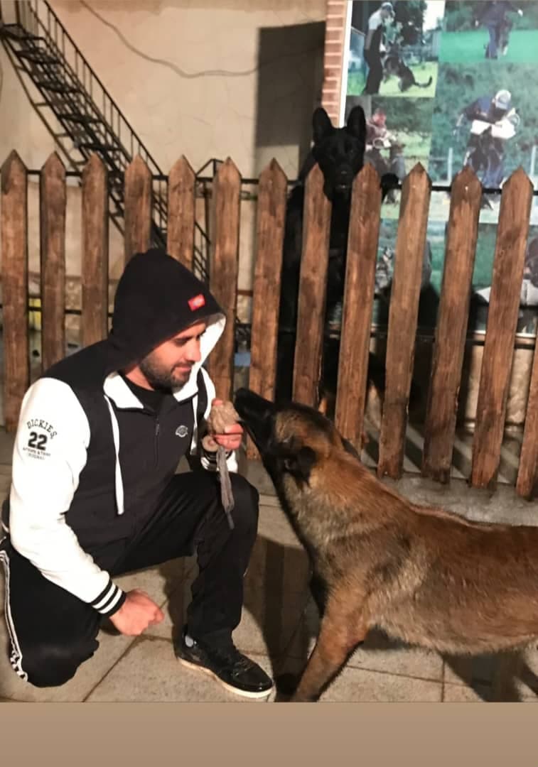 پانسیون آموزش و تربیت سگ gemkennel در رفسنجان