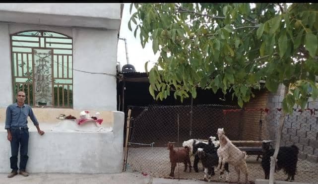 اقامتگاه بومگردی ثابتی نژاد در پاسارگاد