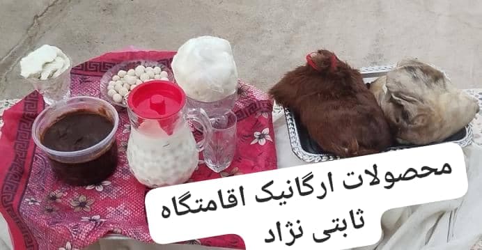 اقامتگاه بومگردی ثابتی نژاد در پاسارگاد