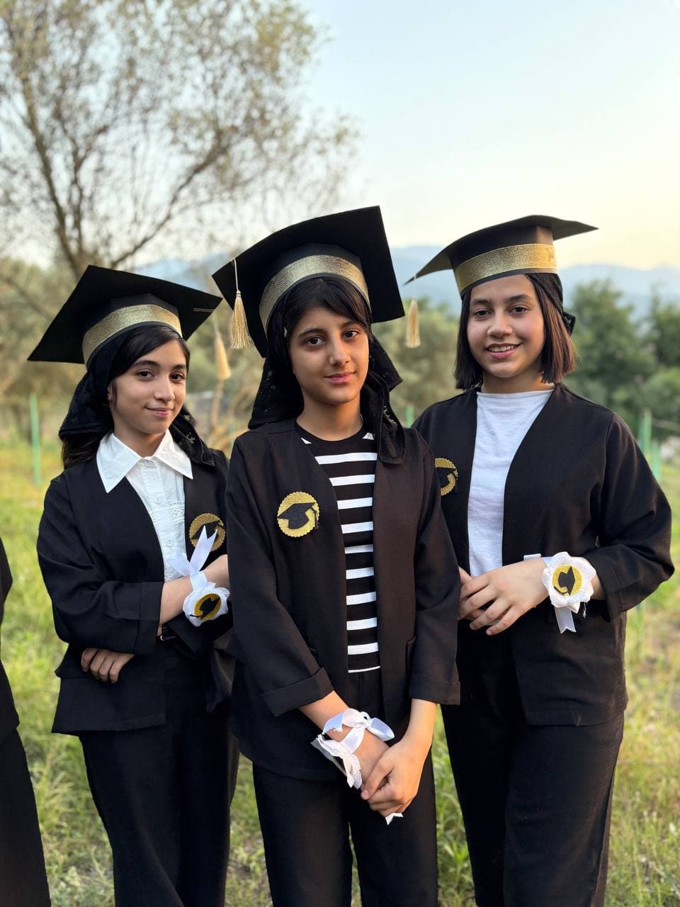 دبستان هوشمند غیردولتی دخترانه نیکو در گرگان