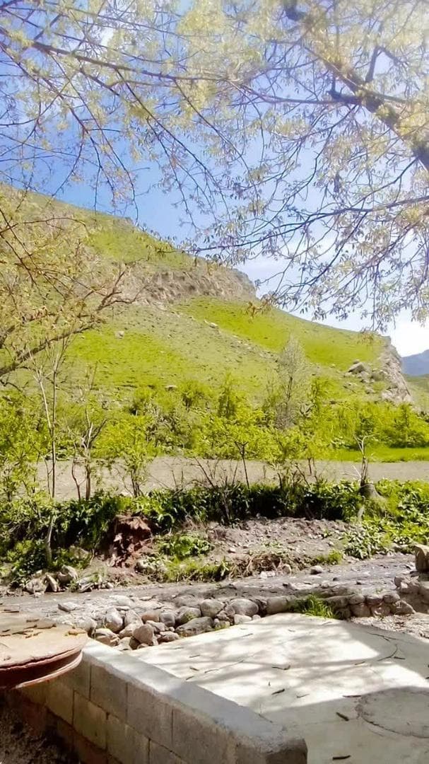 اقامتگاه خانه درختی نادرزاده در درگز