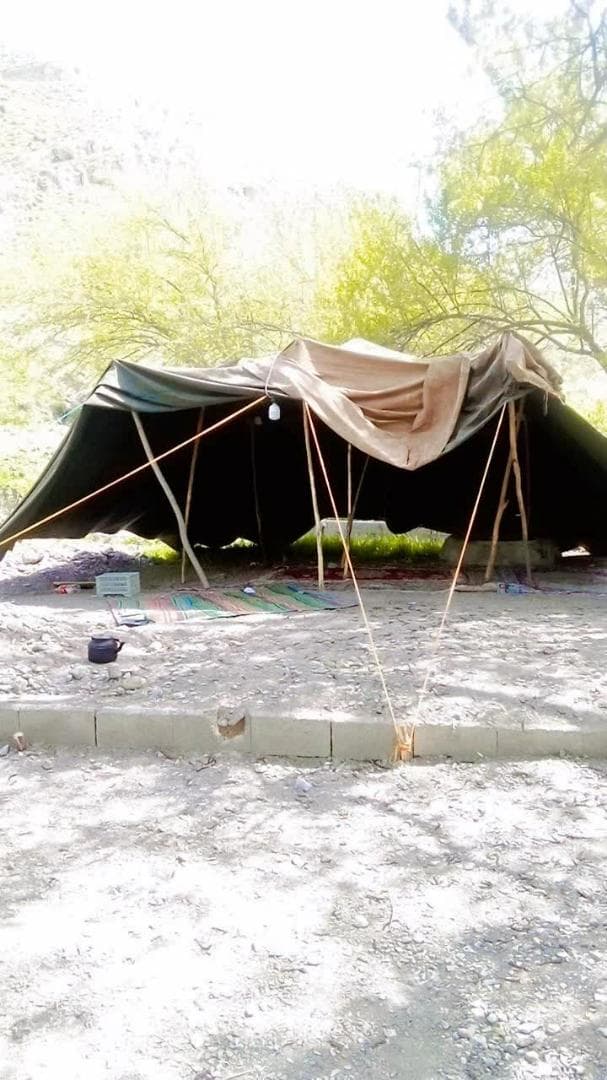 اقامتگاه خانه درختی نادرزاده در درگز