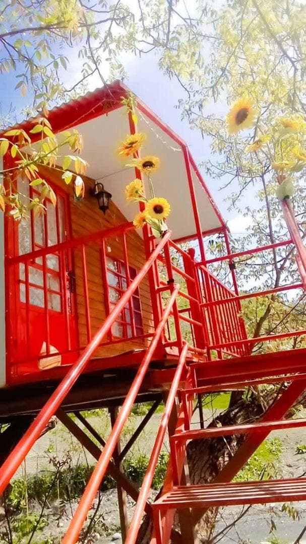 اقامتگاه خانه درختی نادرزاده در درگز