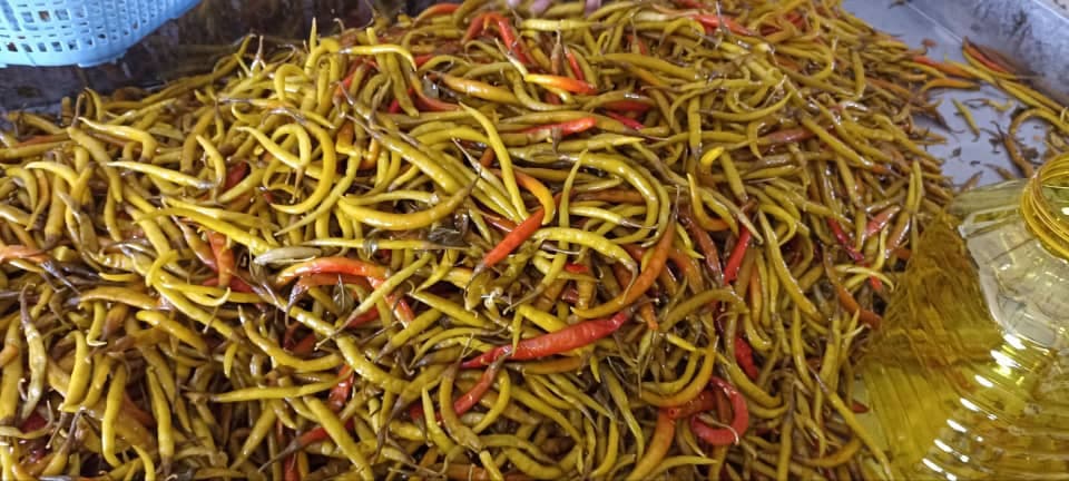 شرکت پخش مواد غذایی و رستورانی آروشا در رشت