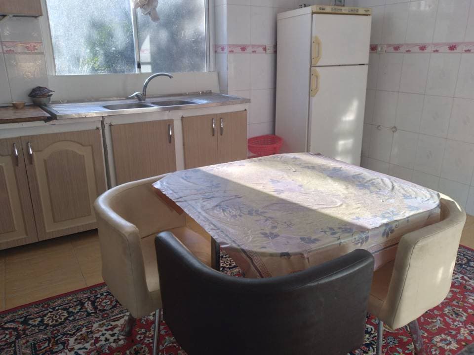 اجاره باغ ویلای نخل و زیتون در ازمیغان طبس گلشن