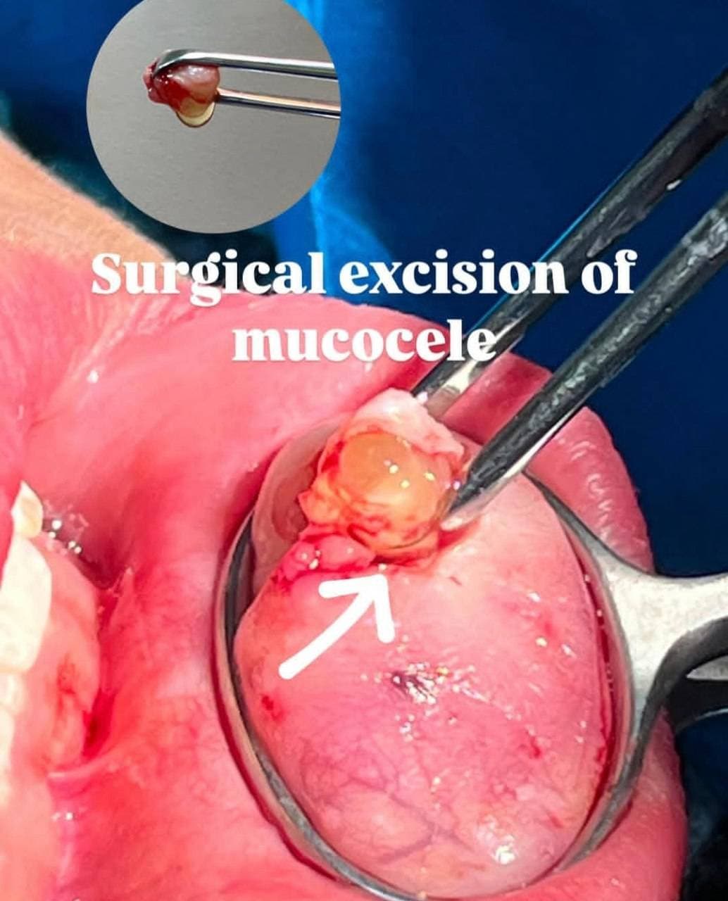 مطب تخصصی دندانپزشکی بیماران خاص دکتر الهه وزاوندی سیرجان