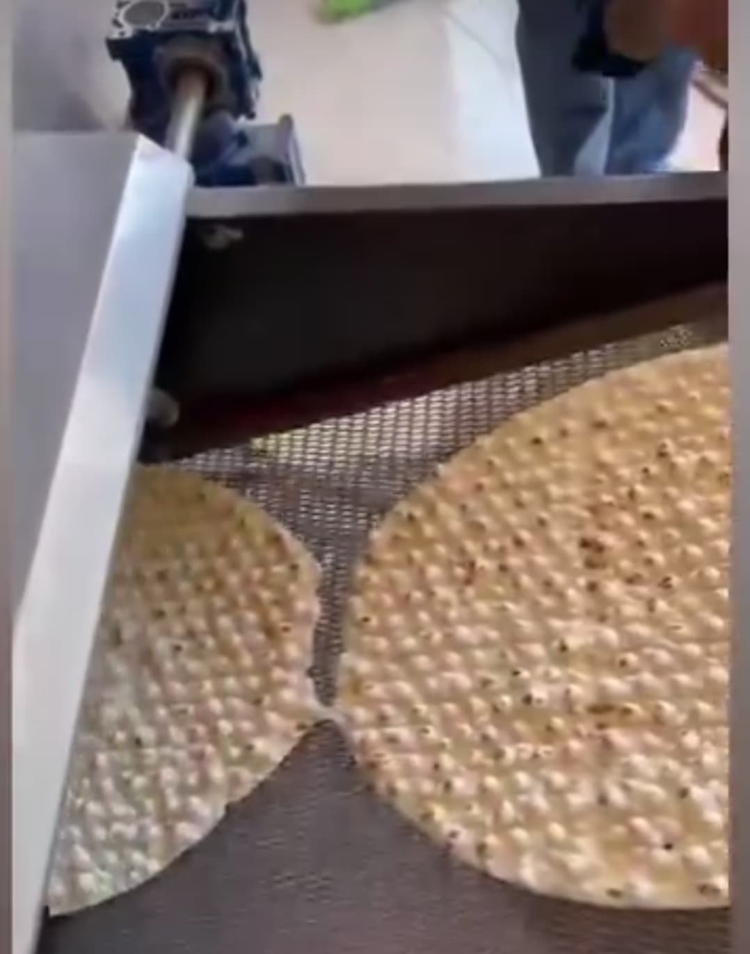 نمایندگی فروش دستگاه نان شرکت جی پخت حمید در مرودشت