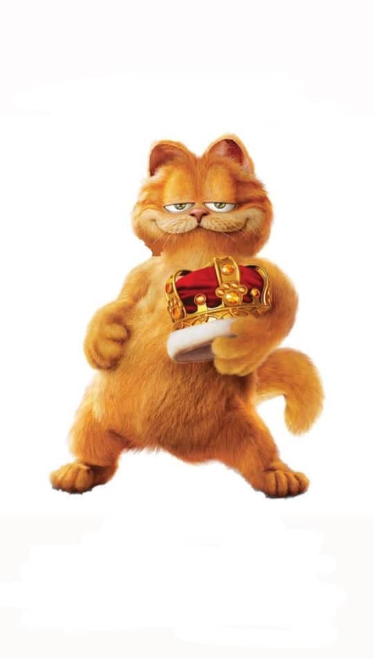 پت شاپ گارفیلد در تبریز