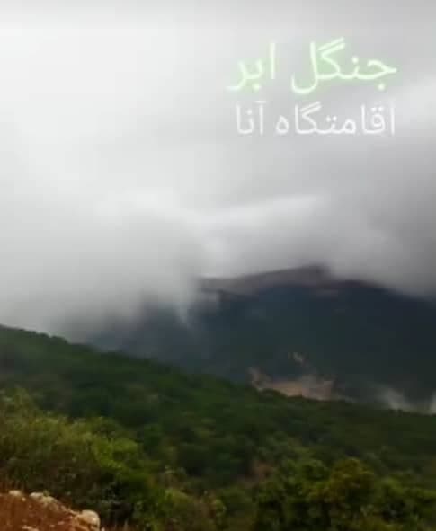 اقامتگاه آنا در جنگل ابر شهر شاهرود