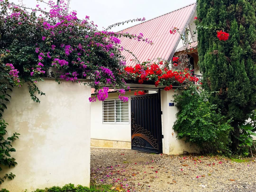 ویلا چوبی گل کاغذی به مدیریت خانم هاشمی در رامسر