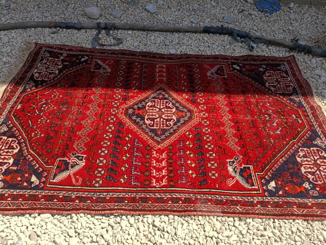 قالیشویی میلاد در شیراز