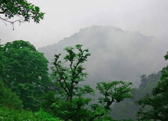 اقامتگاه بومگردی ثابتی نژاد در پاسارگاد