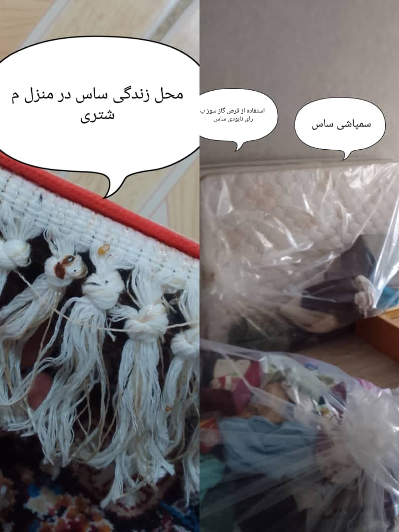 سم پاشی منازل نابودگر در رشت