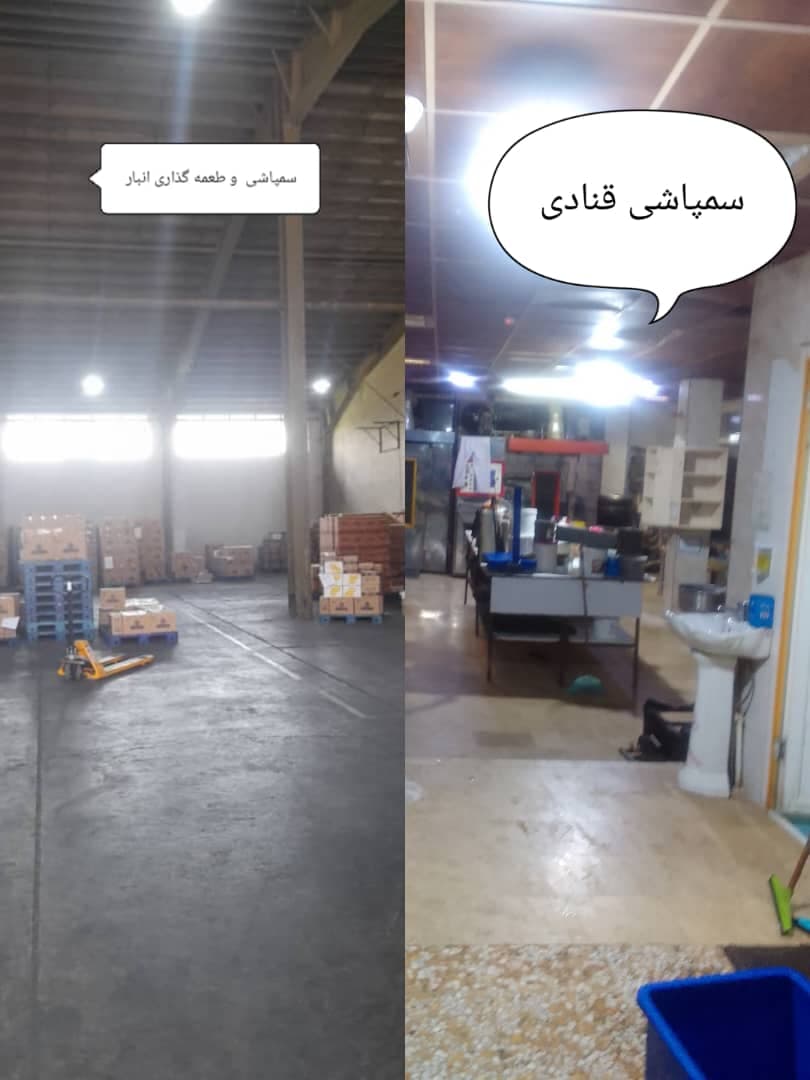 سم پاشی منازل نابودگر در رشت