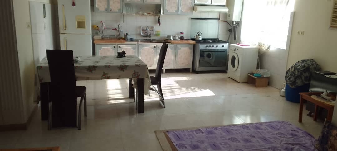 سم پاشی منازل نابودگر در رشت