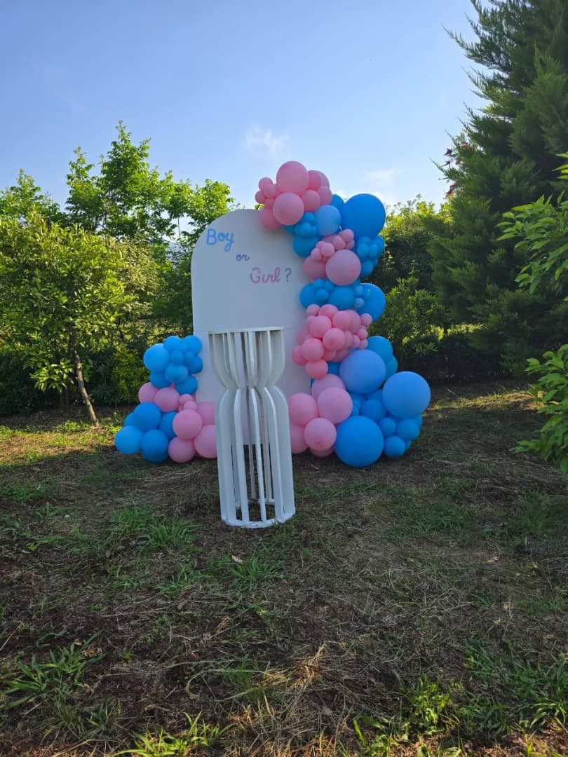 مرکز تم تولد و بادکنک آرایی عصرجدید در املش