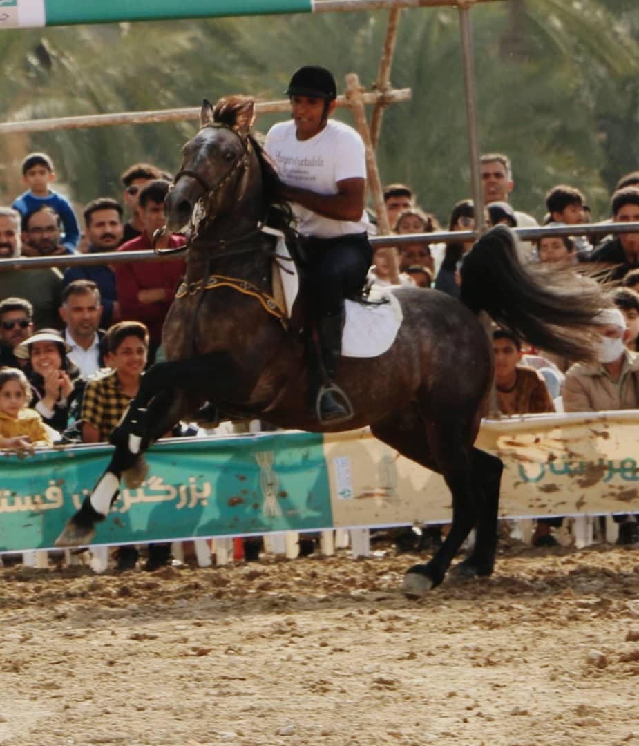 باشگاه سوارکاری اسب برادران عبدالهی در وراوی