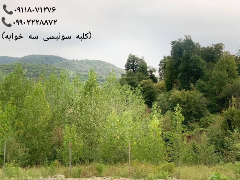 اجاره ی ویلا و کلبه سوئیسی مهدیا در ماسال