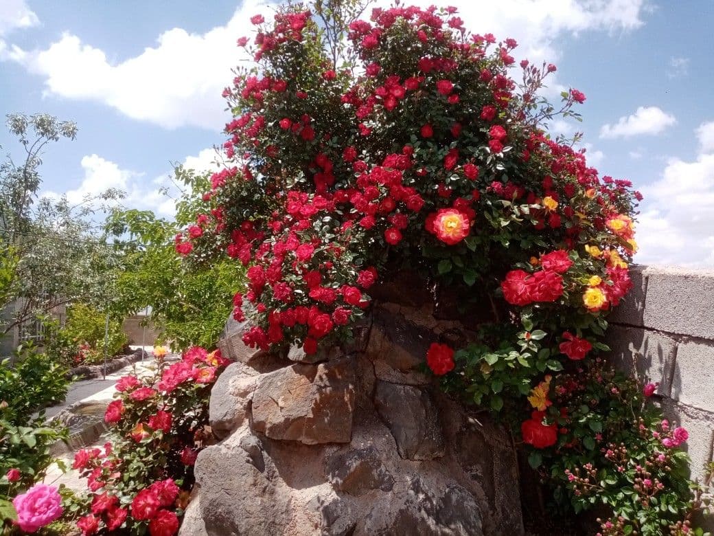 اقامتگاه بومگردی مرد یخی در شوربیگ تربت حیدریه