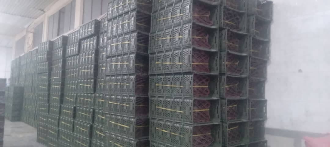 تولید سبد پلاستیکی آداپلاست در مراغه