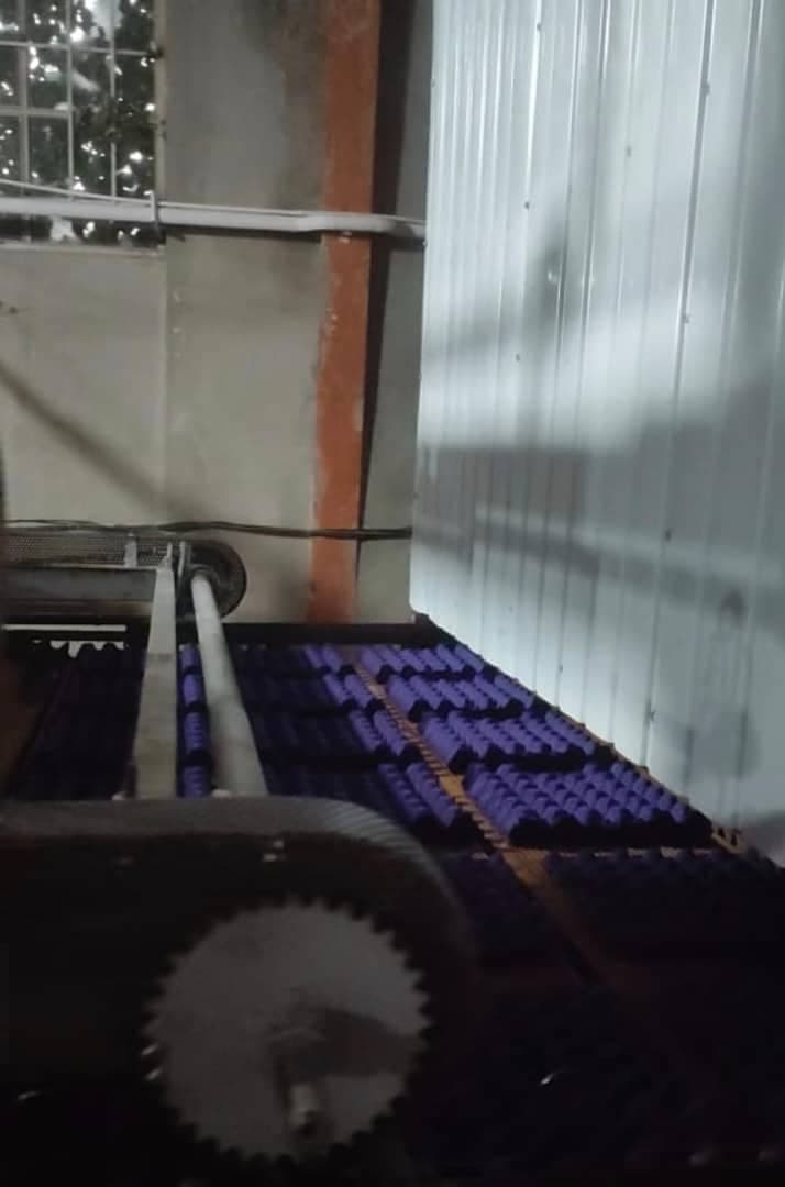 طراحی و ساخت دستگاه شانه تخم مرغ اتوماتیک دهقانی در آذرشهر