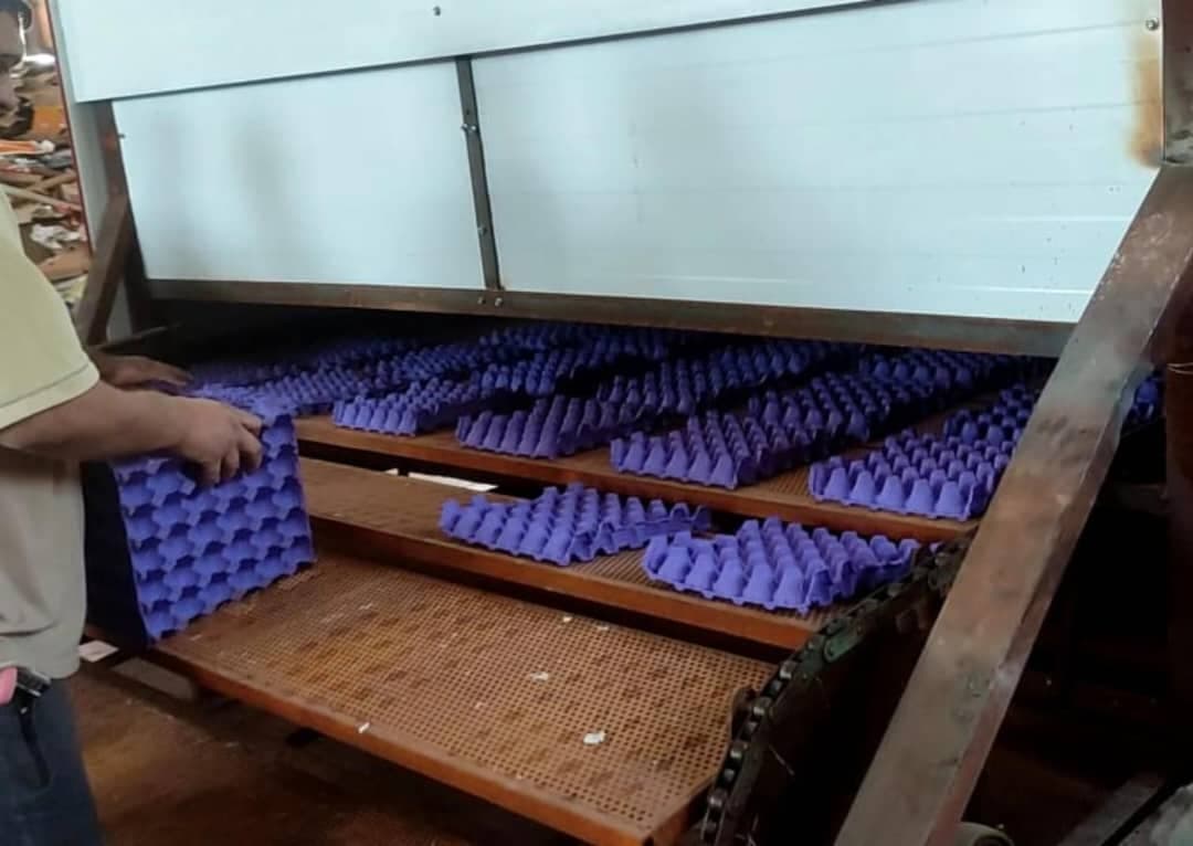 طراحی و ساخت دستگاه شانه تخم مرغ اتوماتیک دهقانی در آذرشهر