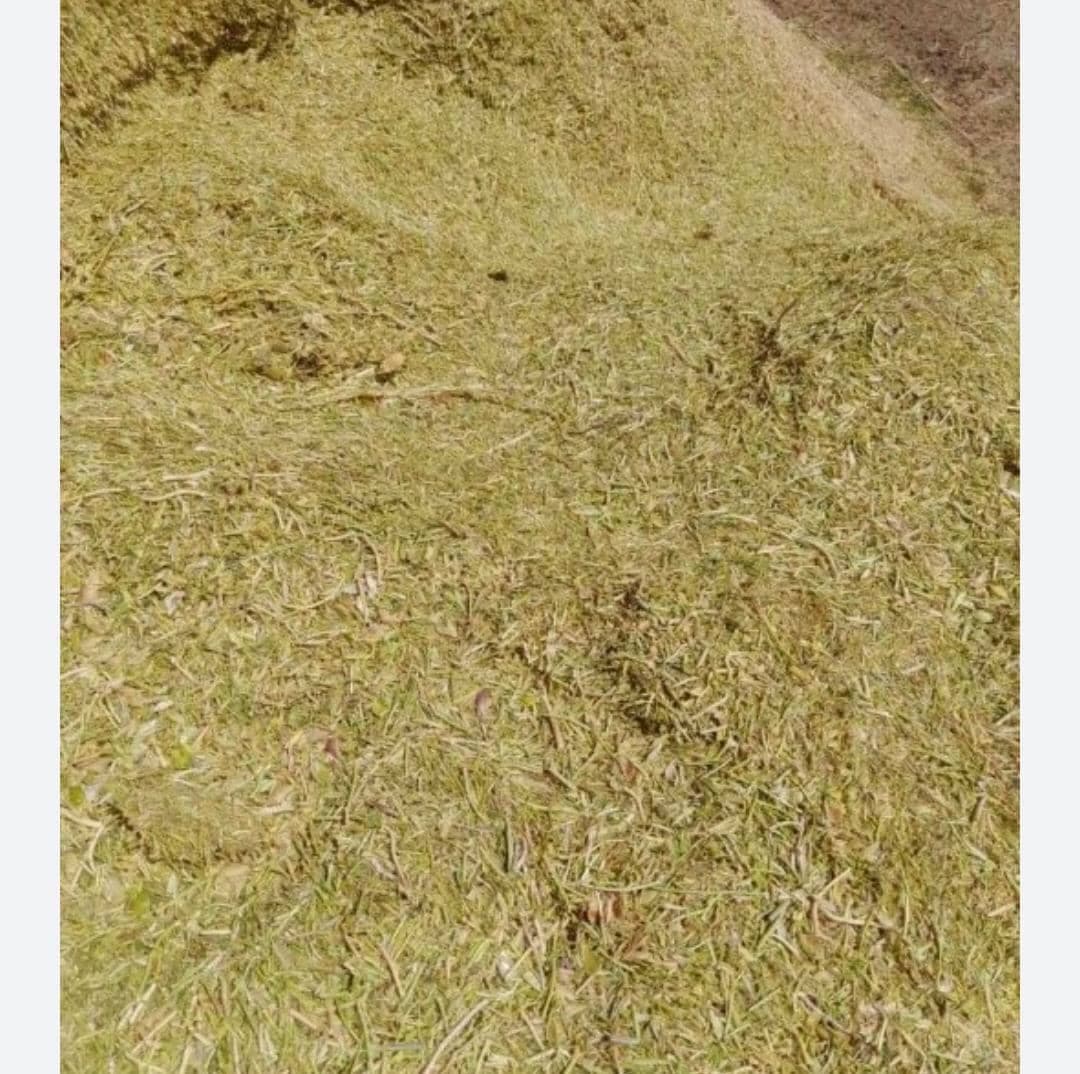 فروش صادرات نهادهای دامی زارعی در آذرشهر