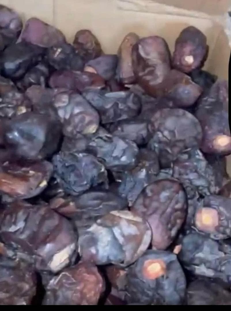 خرید و فروش ضایعات خرما بمدیریت سهرابی در رودبار جنوب