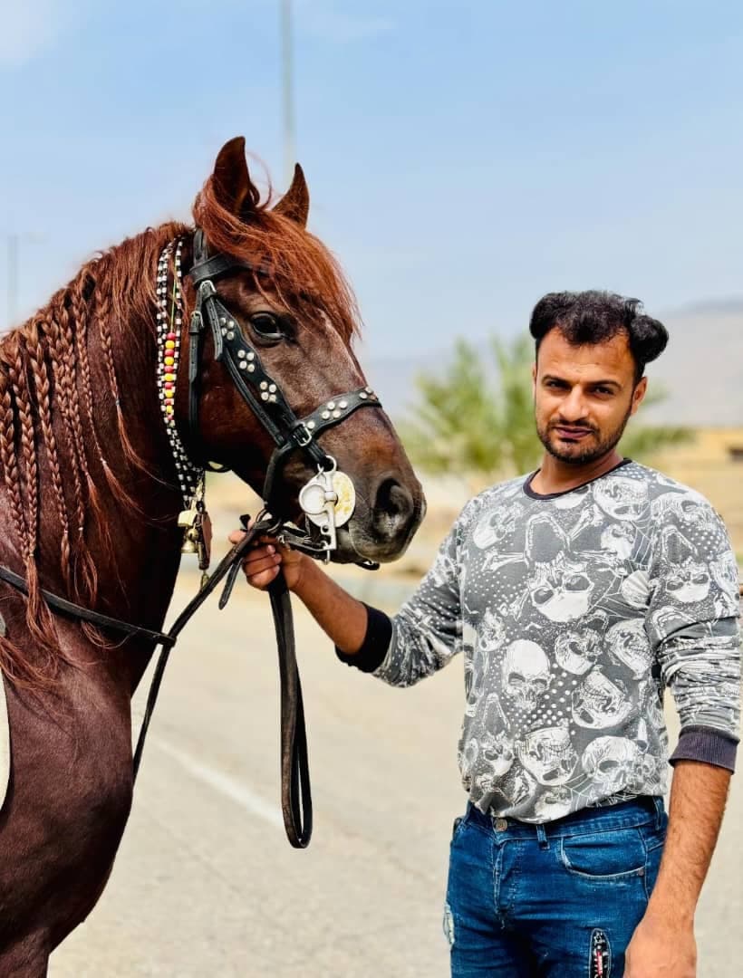 باشگاه سوارکاری اسب برادران عبدالهی در وراوی