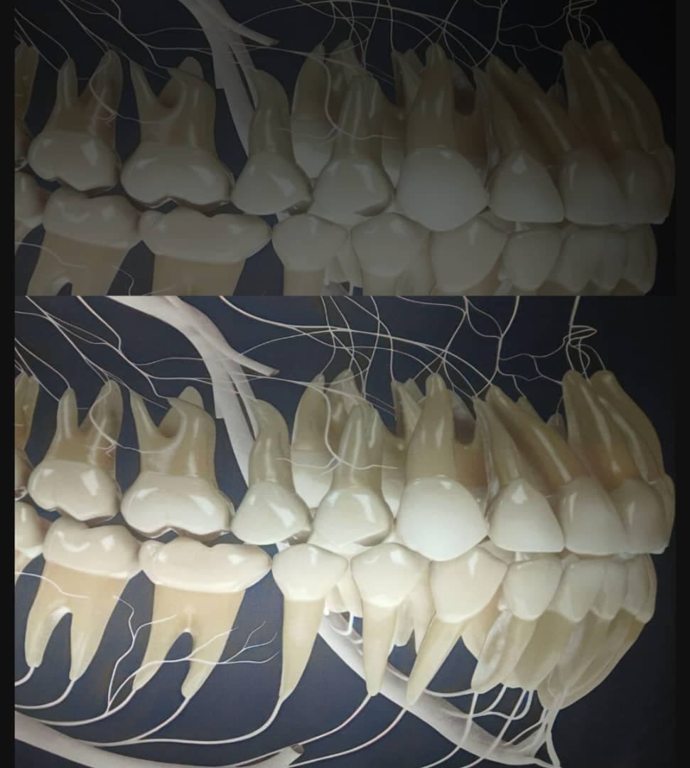 لابراتوار دندانسازی عباس بهنام پور در ملایر