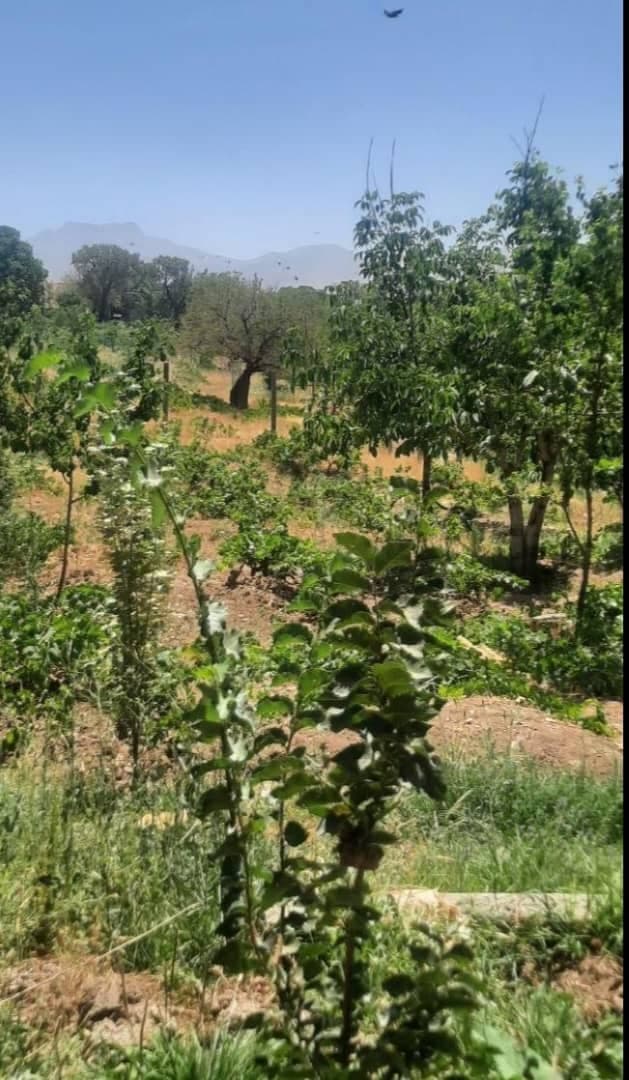 اجاره خانه مسافر سرچشمه امیران در اراک