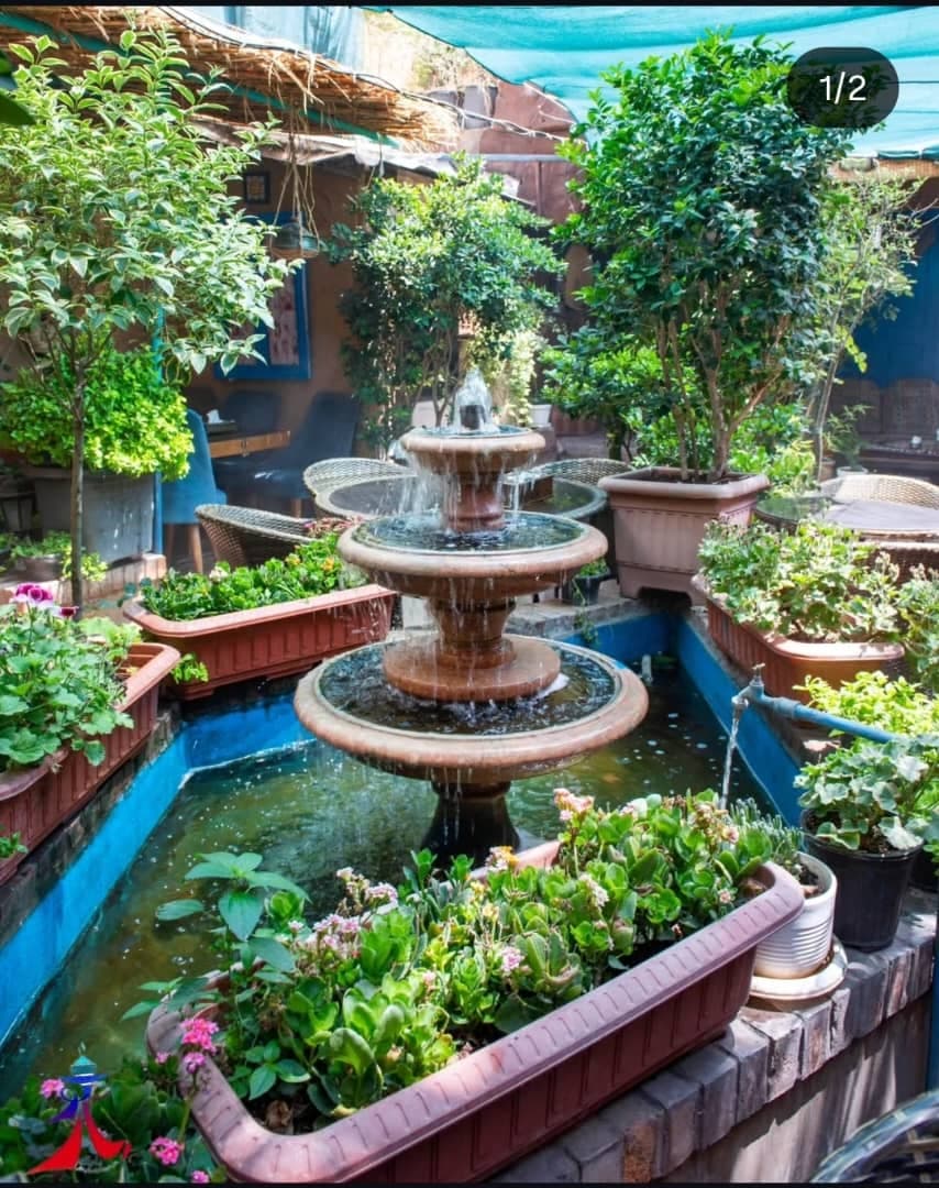 کافه رستوران و غذای اصیل و گیلانی بارکو در تهران