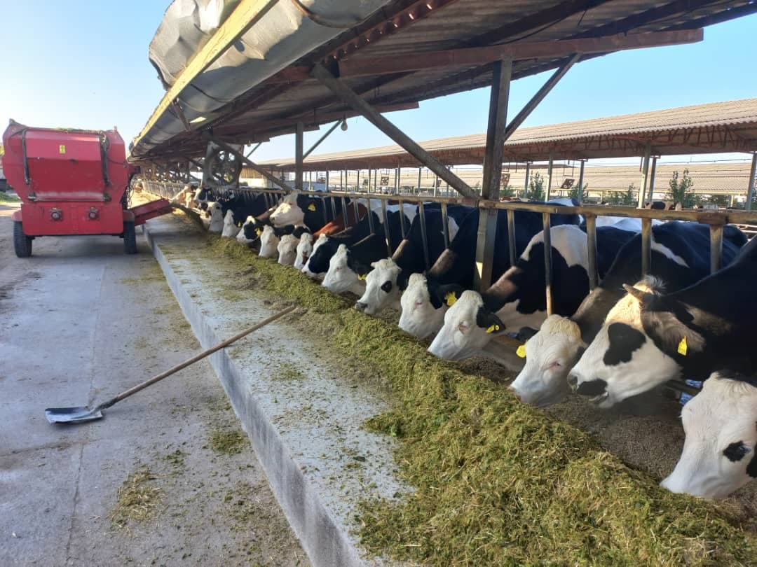 واردات و تولید دستگاه فیدر میکسر ثابت و متحرک ابتکار هادی در اصفهان