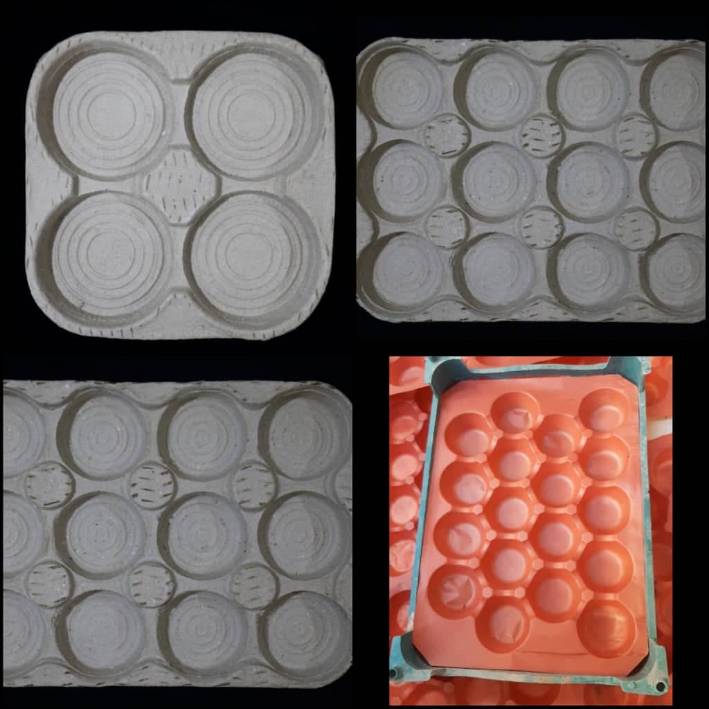 تولیدی پخش شانه تخم مرغ شیراز به مدیریت مهبودی در شیراز