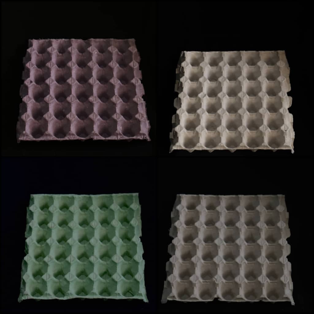 تولیدی پخش شانه تخم مرغ شیراز به مدیریت مهبودی در شیراز