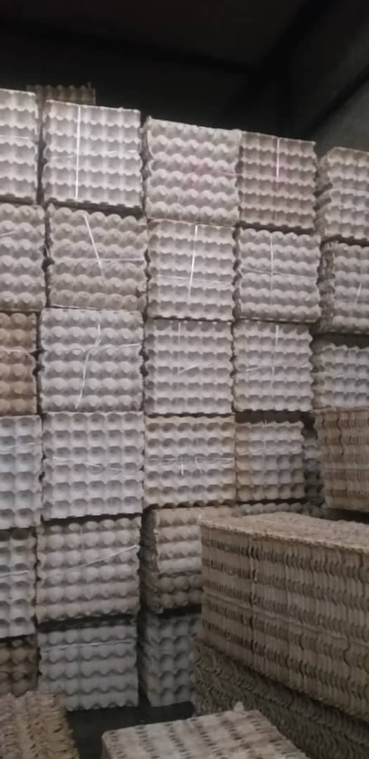 تولیدی پخش شانه تخم مرغ شیراز به مدیریت مهبودی در شیراز