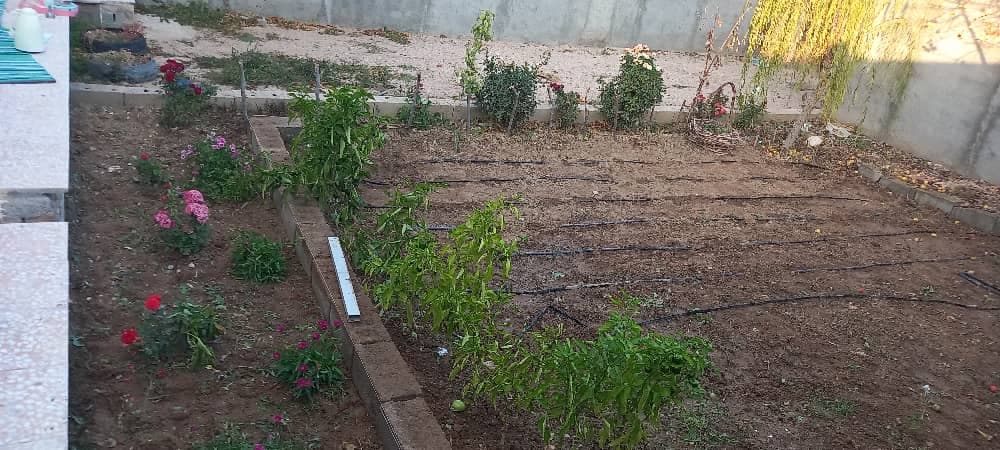 اجاره سوئیت توکلی در آشخانه