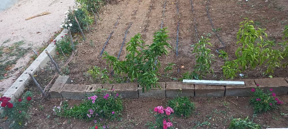 اجاره سوئیت توکلی در آشخانه