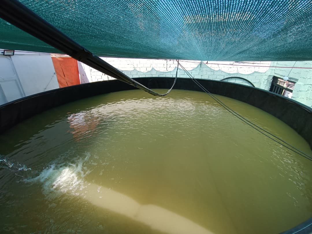 فروش نصب استخر پیش ساخته ژئوممبران بهاران کشت صنعت آبیار در اردبیل