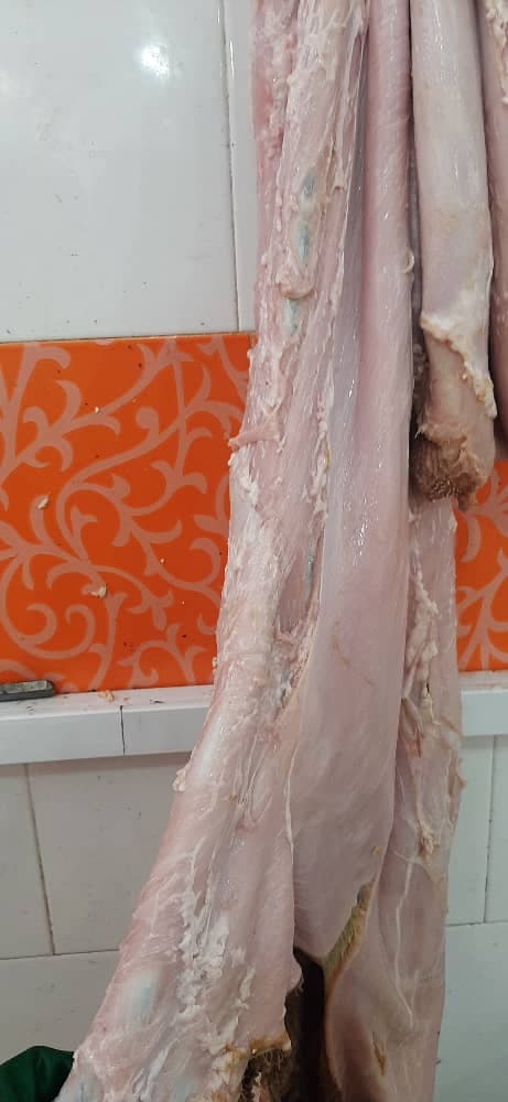 پخش عمده گوشت داخلی و وارداتی محمد کاظم غلامی در تهران