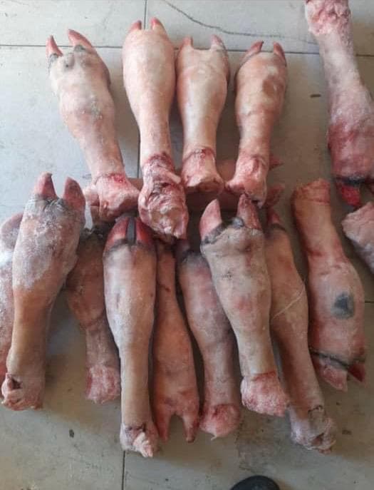 پخش عمده آلایش گوساله محمد کاظم غلامی در تهران