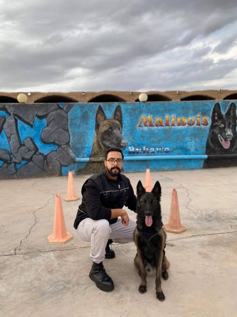 پانسیون آموزش و تربیت سگ gemkennel در رفسنجان