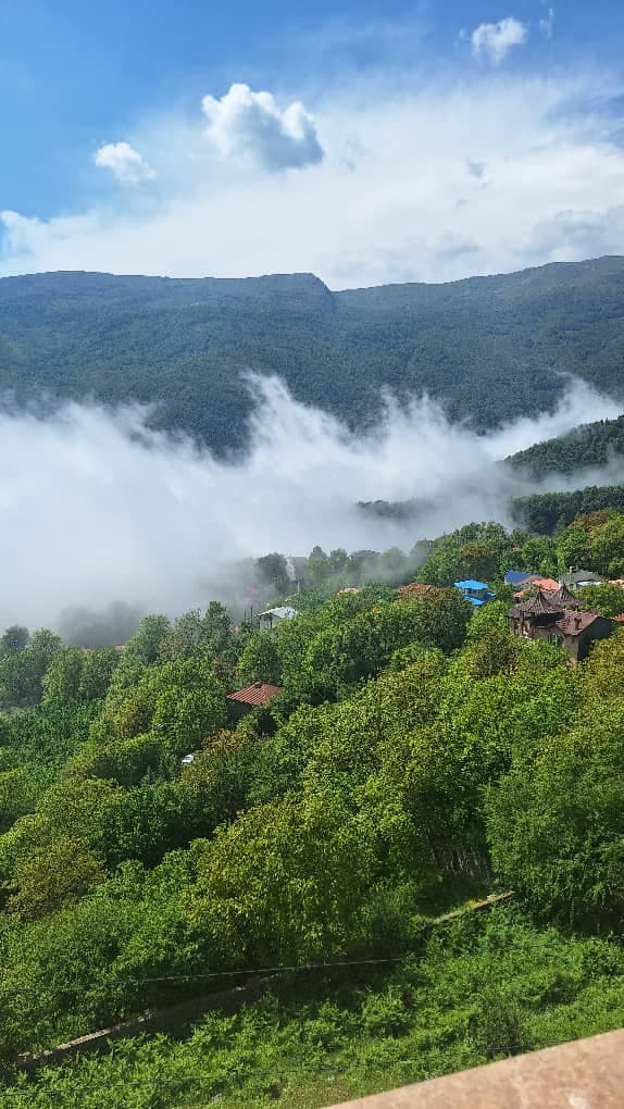 اجاره واحد مبله شعبانیان جواهر ده رامسر