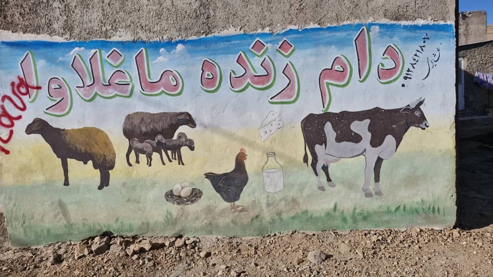 فروش دام زنده ماغلاوا در زنجان