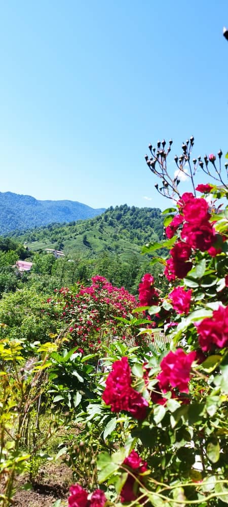 اجاره ویلا غلامیان در فومن