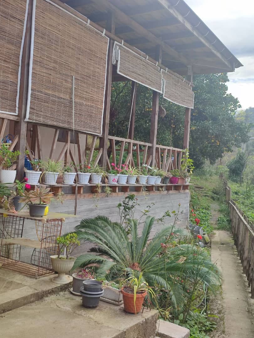 اقامتگاه بومگردی تی ته در املش گیلان